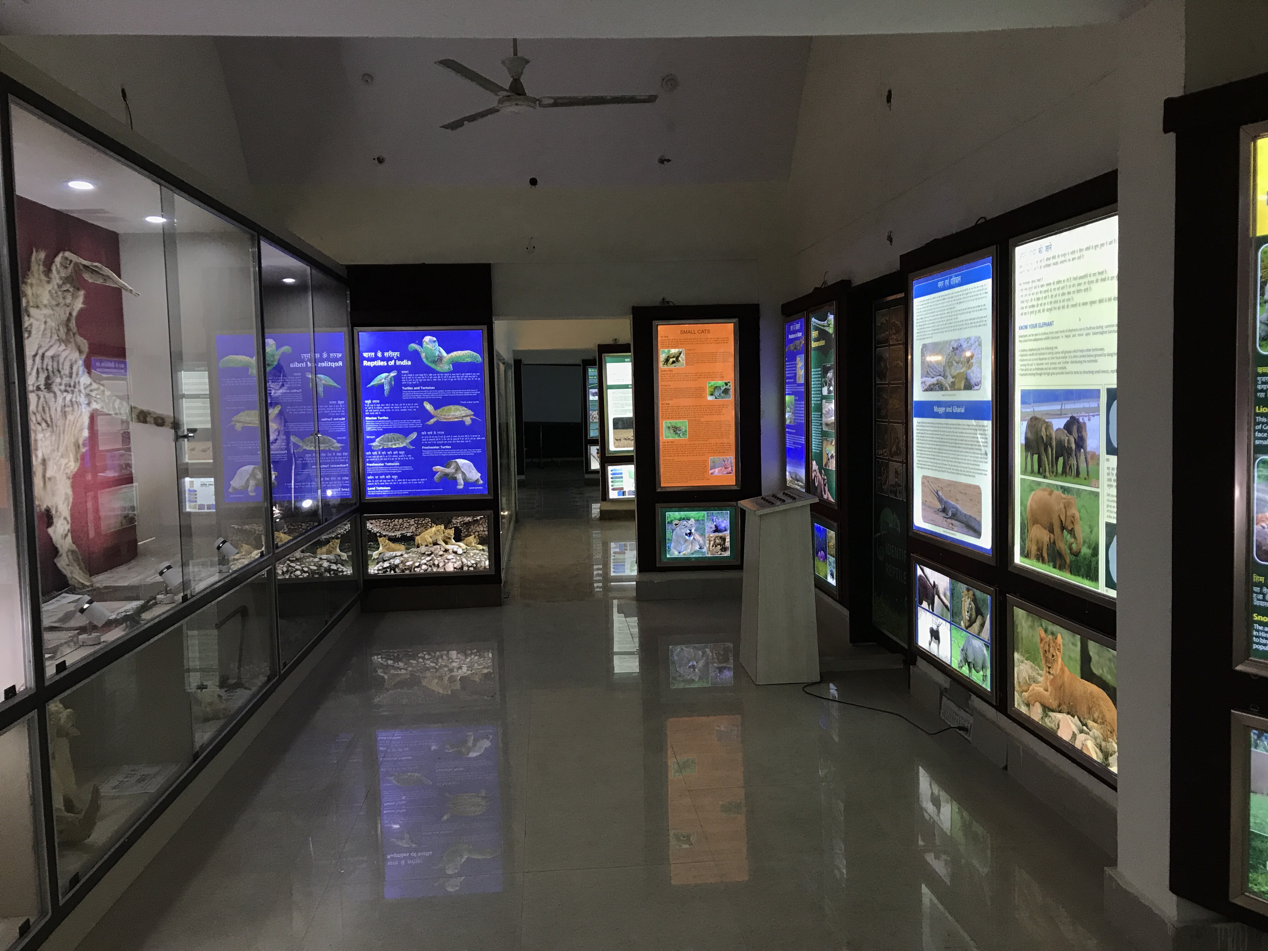 Nature learning center